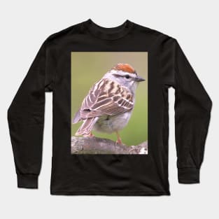 Chipping Sparrow on a big curled tree branch Long Sleeve T-Shirt